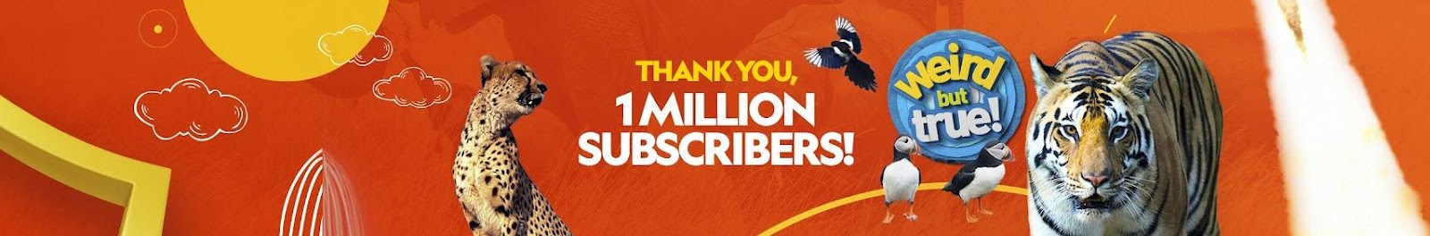 https://yt3.googleusercontent.com/CVadwBdHJpMvhlGeTiSIronfhIns3rRpxB-HF-whReHOLQqqERe2ZGW0su6Ddx6x5FfSsGGw9Ps=w1707-fcrop64=1,00005a57ffffa5a8-k-c0xffffffff-no-nd-rj